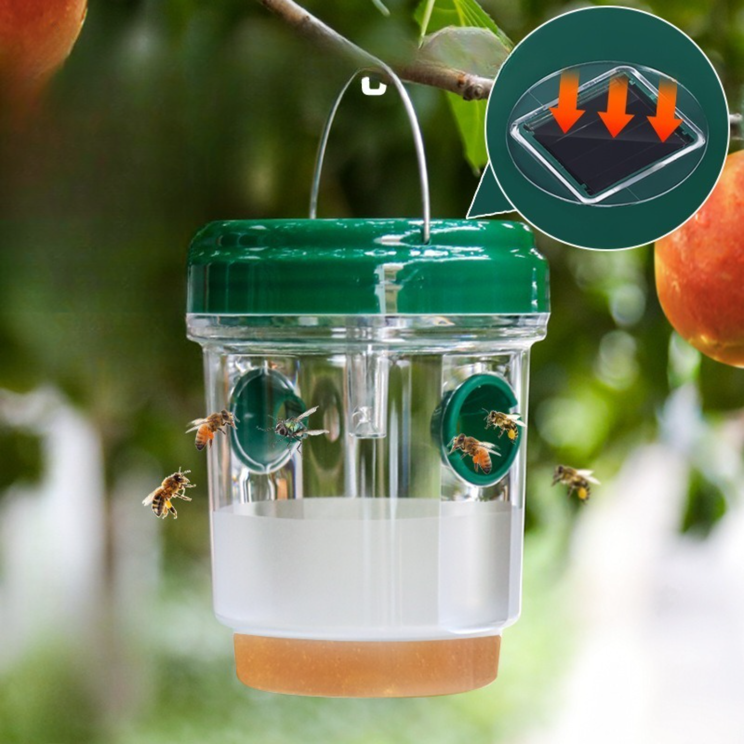 1-6PCS Solar Wasp Trap Waterpr - مراجعة Outdoor Power Outlet Solar وسعره