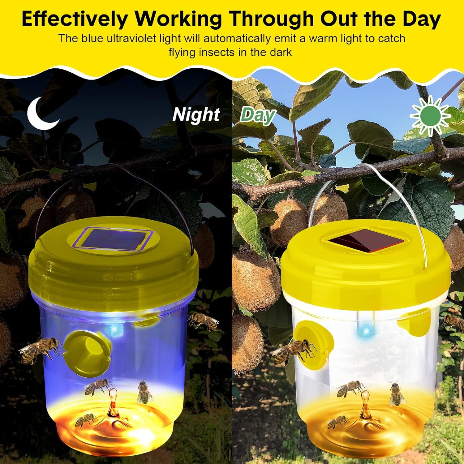 1-6PCS Solar Wasp Trap Waterpr - مراجعة Outdoor Power Outlet Solar وسعره